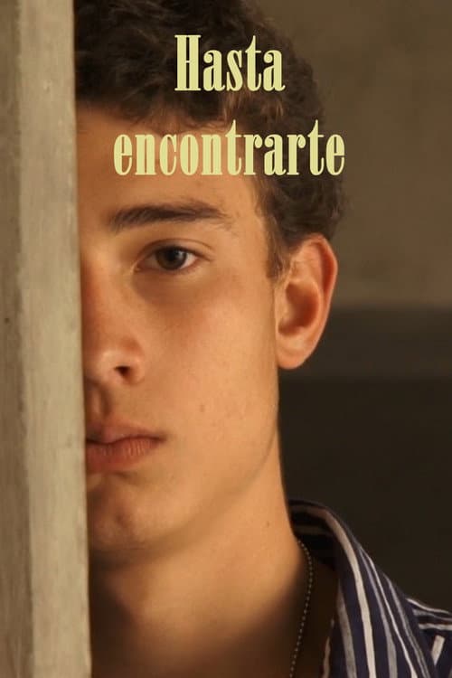 Hasta encontrarte (2013) poster