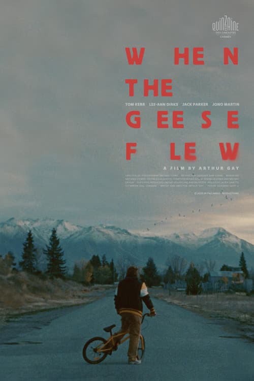 When the Geese Flew (2025) poster