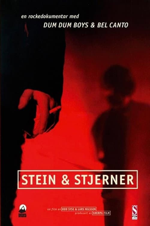 Stein & stjerner (1994) poster