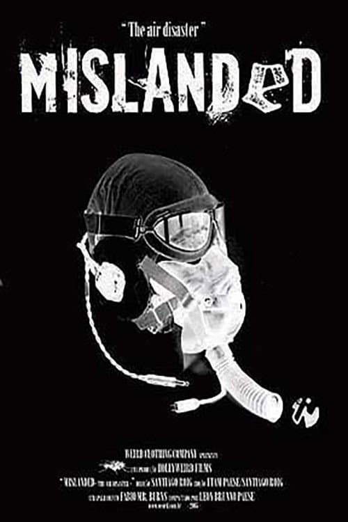 Mislanded: The Air Disaster (2006) poster
