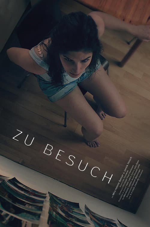 Zu Besuch (2016) poster