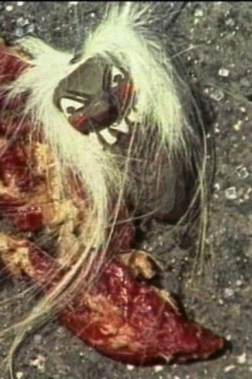 Beaten Meat Glamour (1996) poster