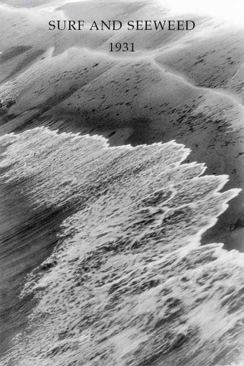 Surf and Seaweed (1931) poster