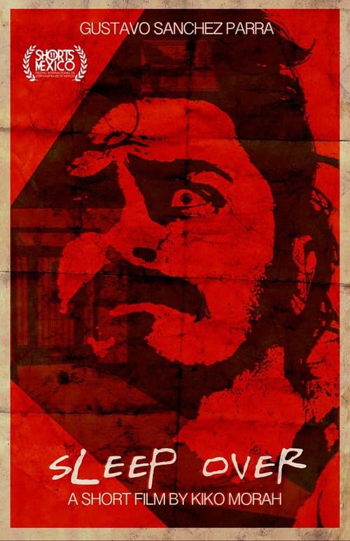 Sleep Over (2015) poster