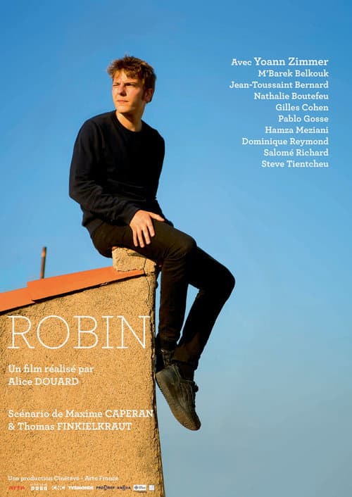 Robin (2017) poster