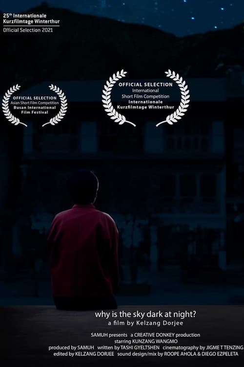 Why is the sky dark at night? (2021) poster