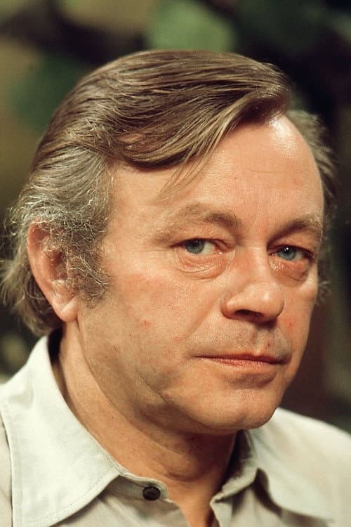 Heinz Fülfe foto