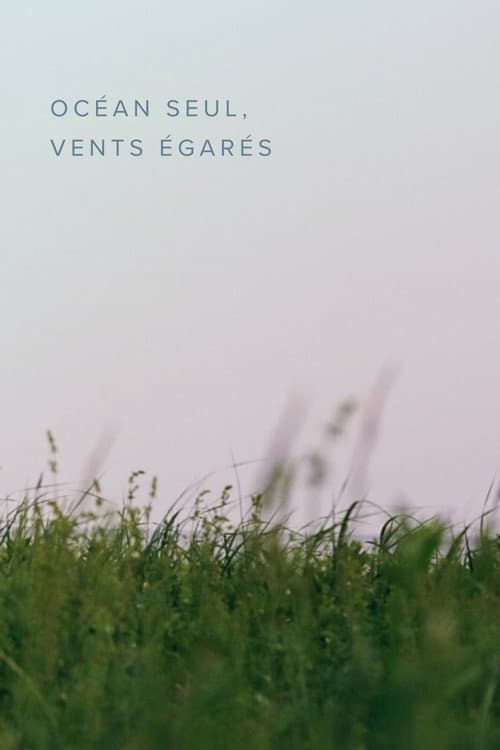 Océan seul, vents égarés (2025) poster