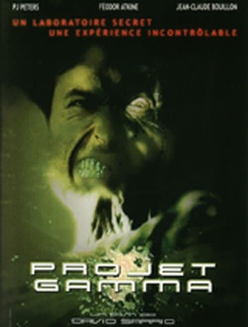 Projet Gamma (2003) poster