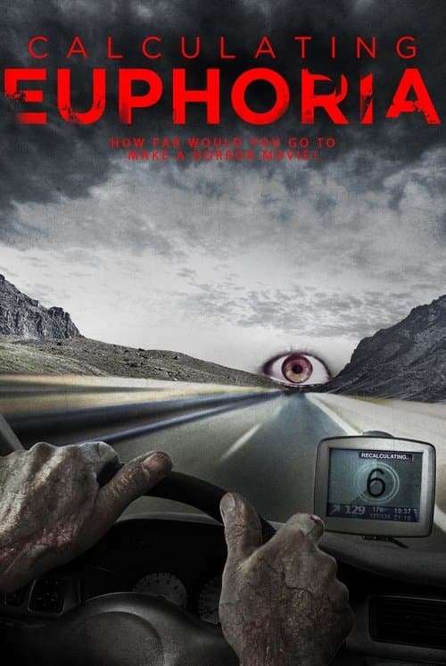 Calculating Euphoria (2022) poster