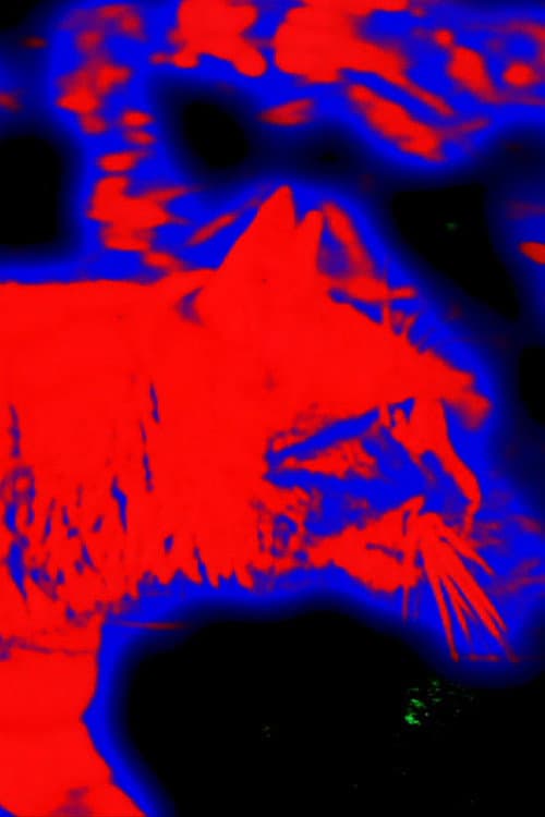 9 Lives Measured in Mercury (2013) poster