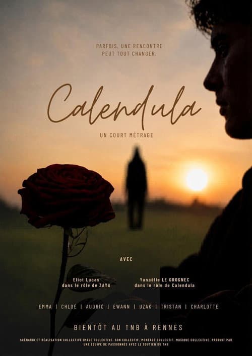 Calendula (2026) poster