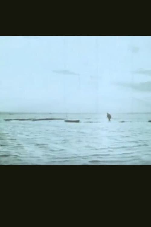 Il campo (1968) poster