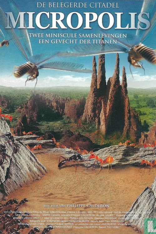 La Citadelle assiégée (2006) poster