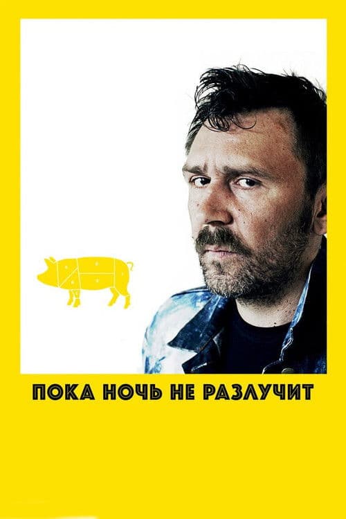 Пока ночь не разлучит (2012) poster