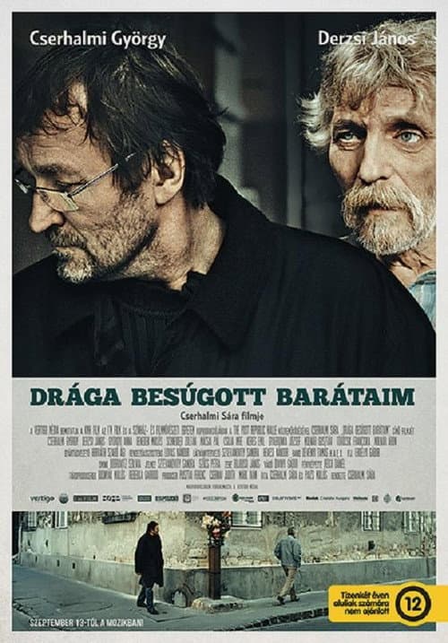 Drága besúgott barátaim (2012) poster