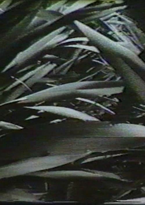 Sensación 77: Mimetismo (1977) poster