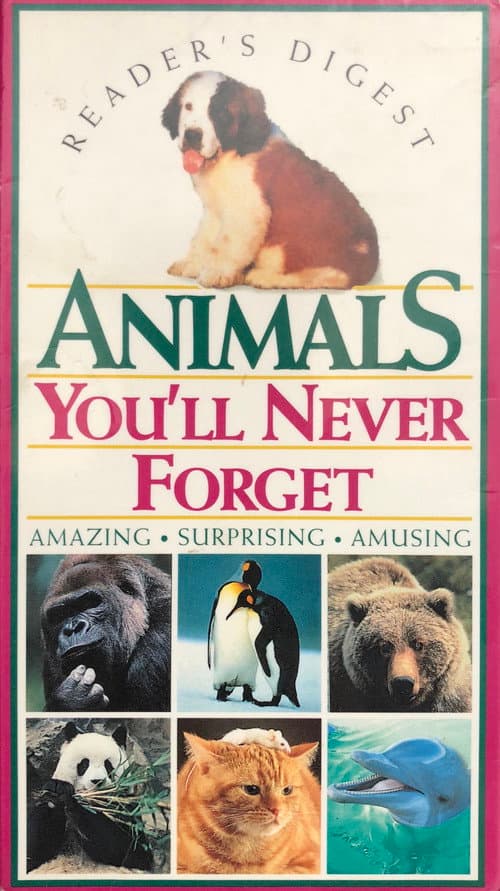 Animals You'll Never Forget (1994) poster