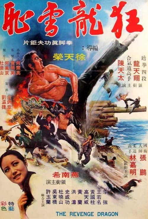 Dragon Force Operation (1973) poster