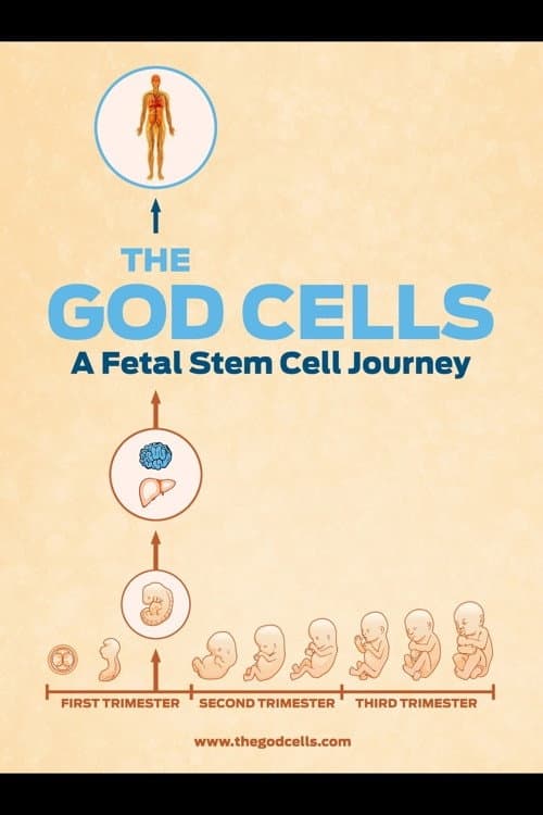 The God Cells (2016) poster