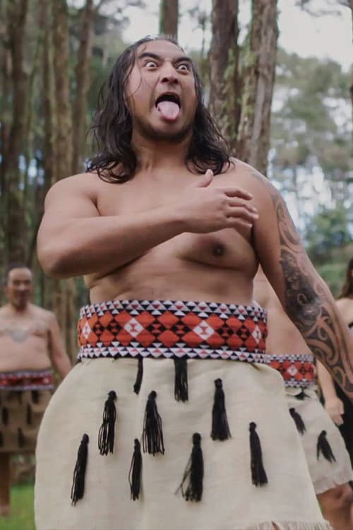 NZ Wars - The Stories Of Ruapekapeka (2017) poster