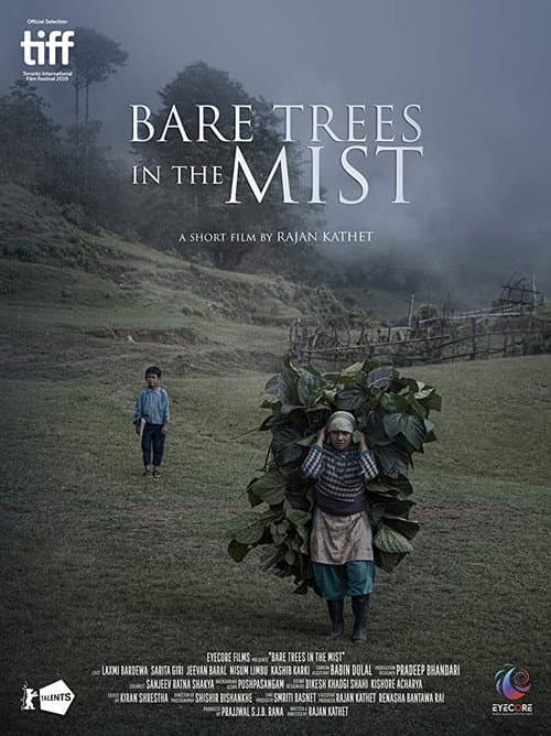 Bare Trees in the Mist (2019) poster