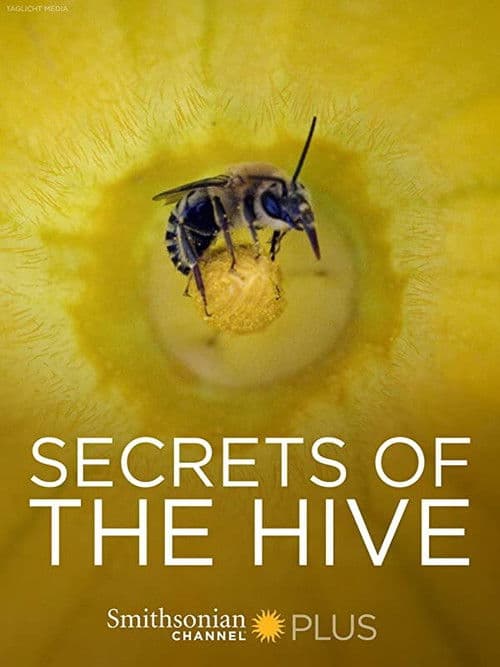 Secrets of the Hive (2015) poster