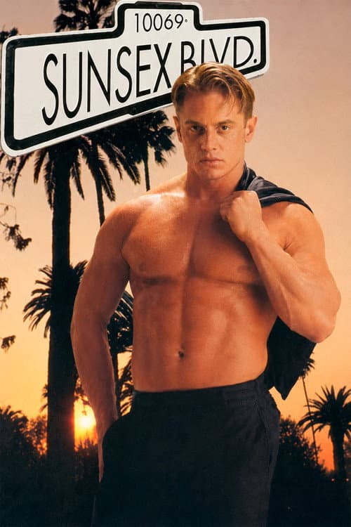 Sunsex Blvd. (1993) poster