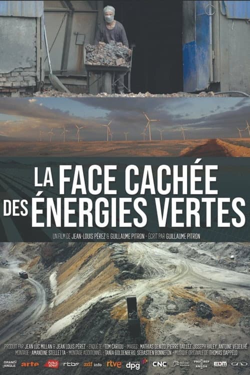 La face cachée des énergies vertes (2021) poster