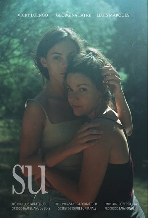 Su (2016) poster