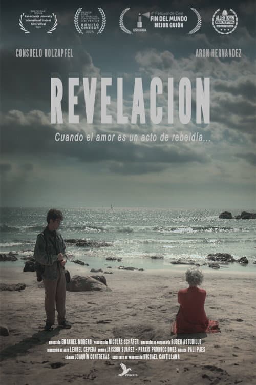 Revelación (2025) poster