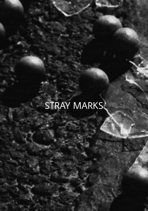 Stray Marks (2016) poster