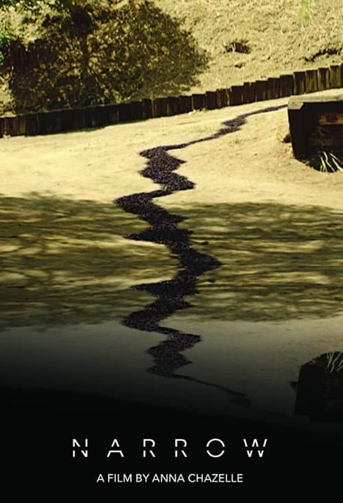 Narrow (2021) poster
