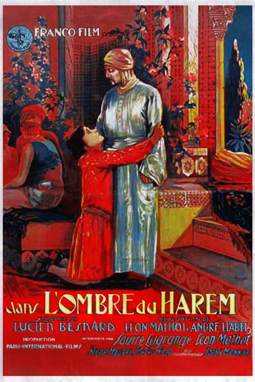 Dans L'Ombre Du Harem (1928) poster