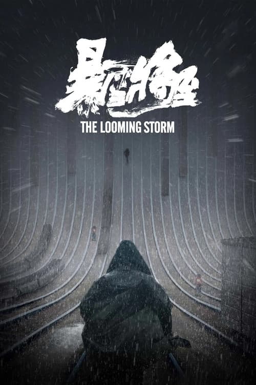 Bao Xue Jiang Zhi (2017) poster