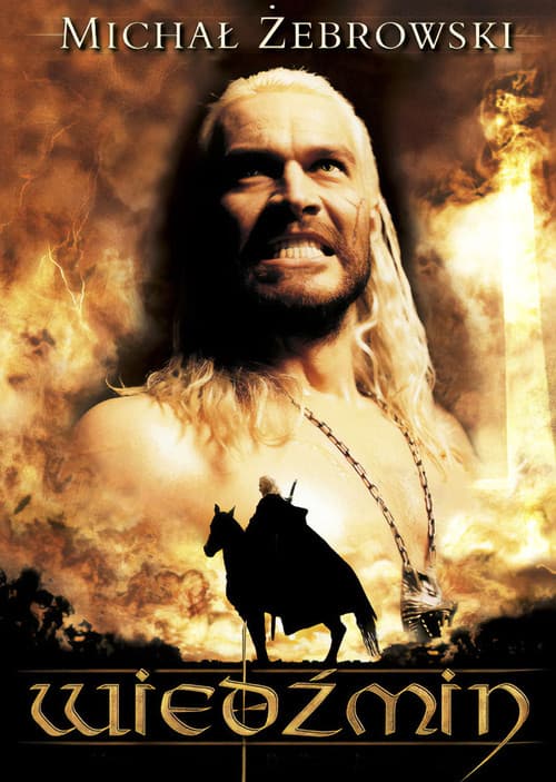 Wiedźmin (2001) poster