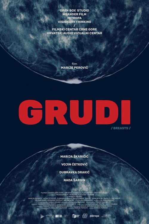 Груди (2020) poster
