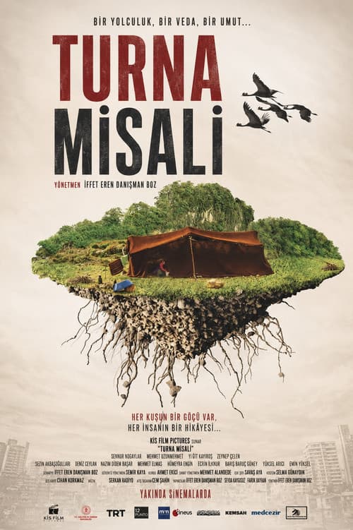 Turna Misali (2021) poster