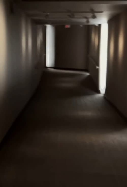 Algo en la camara (2022) poster