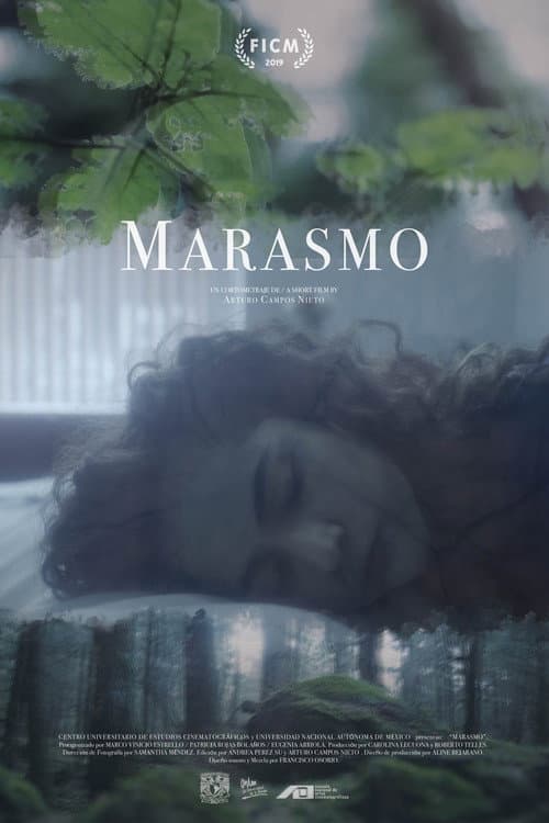 Marasmo (2019) poster