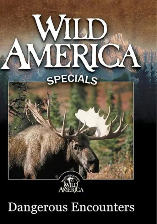 Wild America - Dangerous Encounters (2000) poster