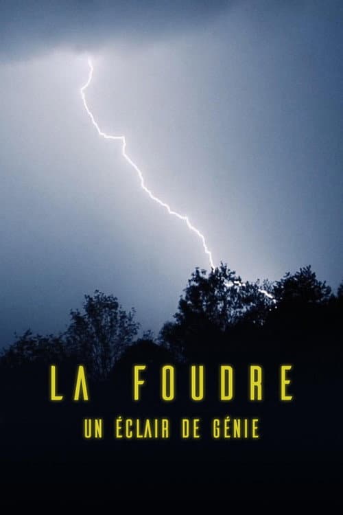La foudre, un éclair de génie (2026) poster