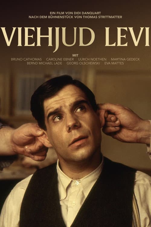 Viehjud Levi (1999) poster