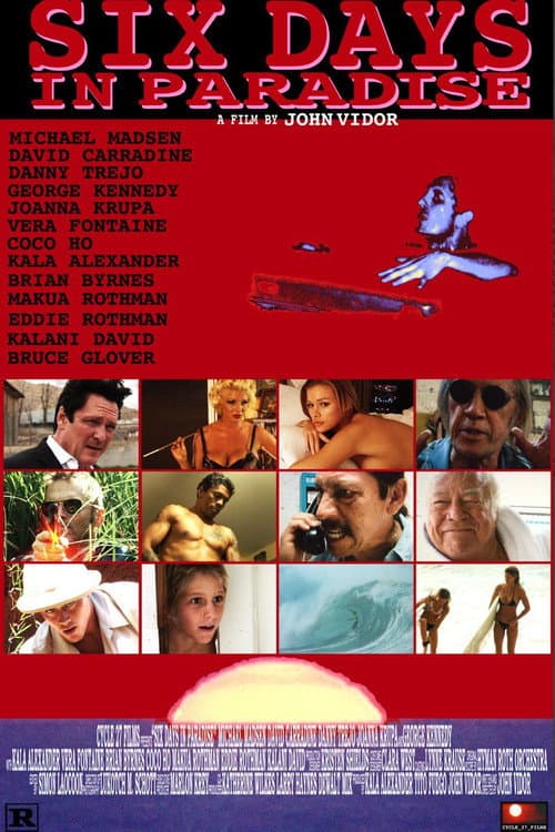 Six Days in Paradise (2010) poster