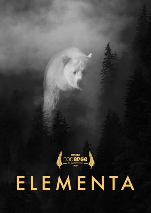 Elementa (2020) poster