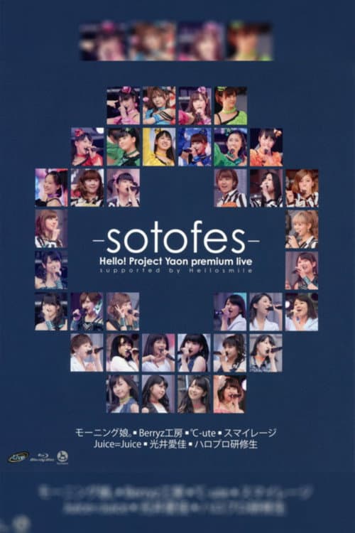 Hello! Project 2013 Spring 野音プレミアムLIVE ～外フェス～ (2013) poster