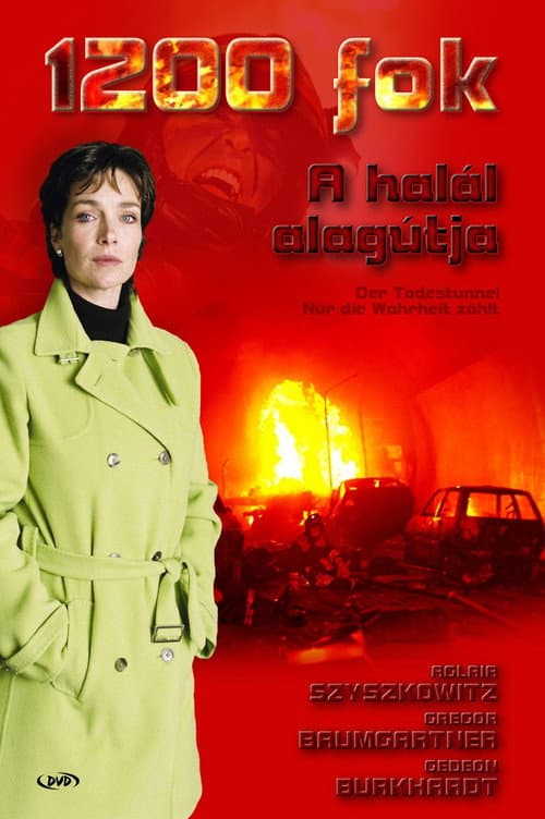 Der Todestunnel - Nur die Wahrheit zählt (2005) poster