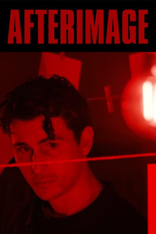 Afterimage (2026) poster
