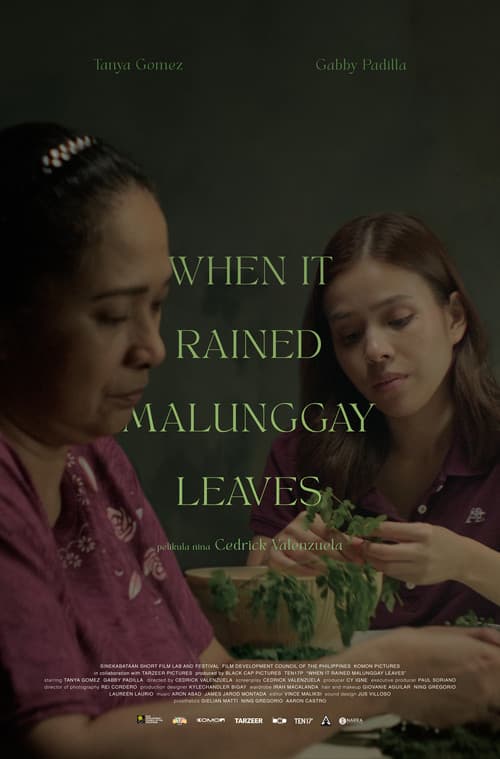 When It Rained Malunggay Leaves (2025) poster