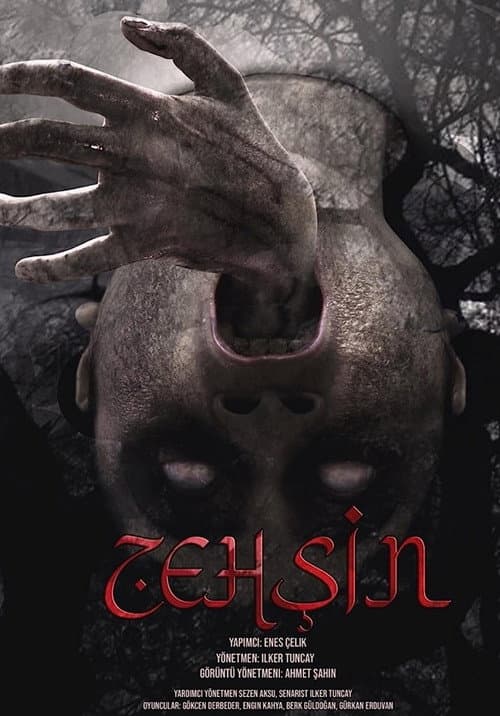 Zehşin Cin-i Musallat (2022) poster